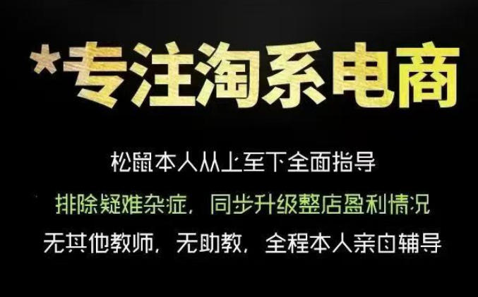 松鼠会电商VIP课程,从基础布局到高阶优化,助你掌握淘宝运营逻辑,提升店铺流量与转化(更新1015)